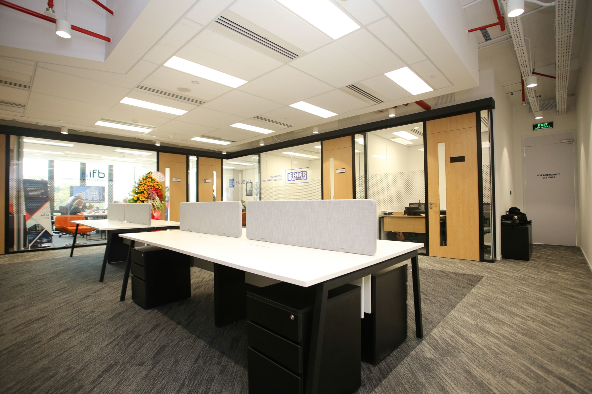 German Business Incubator Vietnam